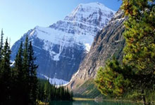 什么是机场梯子？2026 科学上网新手入门科普与选购指南